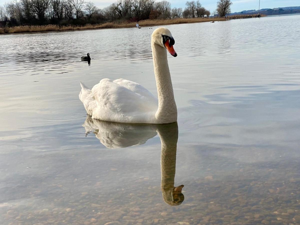 Ferienwohnung Am Chiemsee Übersee Exteriér fotografie